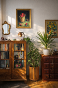 Original painting Bucket of Raspberries by Zuzana Kochanková displayed in collector home interior above wooden bookcase with plants and warm sunlight